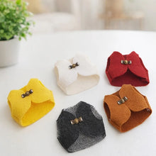 Load image into Gallery viewer, Retro Buckle Small Pet Jacket
