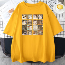 Load image into Gallery viewer, Funny Meme Cats Cotton Tee
