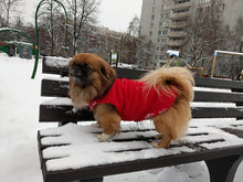 Load image into Gallery viewer, Warm Fleece Dogs Clothes Pet Dog Jacket Vest With D-Ring For Small Dog Cats Clothing French Bulldog Costumes Chihuahua Coat
