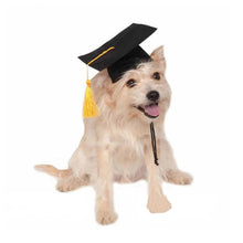 Load image into Gallery viewer, Graduation Hat Pet Accessory Adjustable Pet Graduation Cap For Puppy Kitten Pet Birthday Dress Up Props
