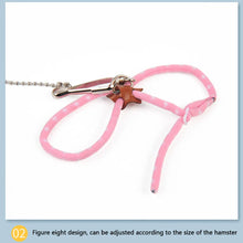 Load image into Gallery viewer, Small Animal Pet Leash Adjustable Soft Set Bird Mouse Hamster Ferret Pigskin Strap Bite Resistant Leash Guinea Pig Accessories
