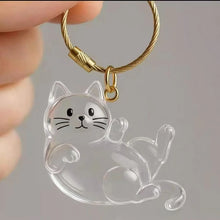 Load image into Gallery viewer, New Cat Hair Storage Keychain Bag Pendant Transparent Pet Fur Keepsake Capsule Souvenir Collection Gift Decoration Accessories
