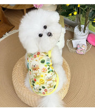 Load image into Gallery viewer, Spring pet apparel: cat &amp; dog clothing - cartoon 3d print, teddy style, cute &amp; breathable, anti-shedding, dropshipping available
