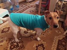 Load image into Gallery viewer, Warm Fleece Dogs Clothes Pet Dog Jacket Vest With D-Ring For Small Dog Cats Clothing French Bulldog Costumes Chihuahua Coat
