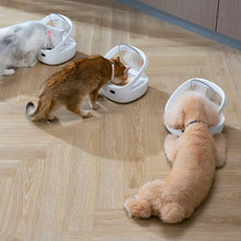 Load image into Gallery viewer, New Petoneer NutriCare Feeder Tailored For Multi-Pet Households Pet feeder Cat And Dog Feeder With App
