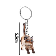Load image into Gallery viewer, New Cat Hair Storage Keychain Bag Pendant Transparent Pet Fur Keepsake Capsule Souvenir Collection Gift Decoration Accessories
