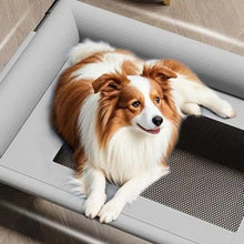 Load image into Gallery viewer, Pet Furniture Mesh Elevated Dog Beds Breathable Removable Raised Dog Bed with Pillow Outside Dog Bed Cat Patio Sunbathing
