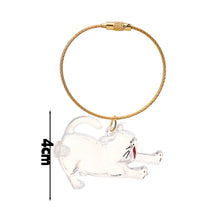 Load image into Gallery viewer, New Cat Hair Storage Keychain Bag Pendant Transparent Pet Fur Keepsake Capsule Souvenir Collection Gift Decoration Accessories
