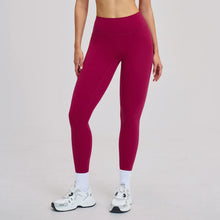 Load image into Gallery viewer, Fitness Leggings High Rise Hip Lift Brushed Soft Material For Ladies Outdoor Elastic Slim Fit Outer Wear Sports Tight Pants
