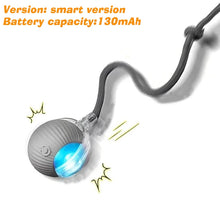 Load image into Gallery viewer, Smart Automatic Rolling Dog Ball
