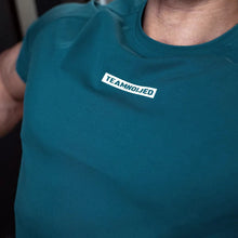 Load image into Gallery viewer, Men's Gym T Shirts Quick Dry Short Sleeve Summer Sports T-shirt Elastic Fitness Workout Tops Casual Bodybuilding Athletic Tee
