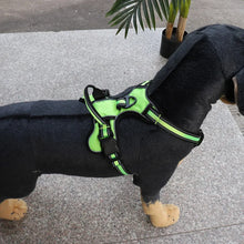 Load image into Gallery viewer, Adjustable Nylon Dog Harness Vest Reflective Soft Breathable No Pull Dog Harness Pet Harness Leash For Small Medium Large Dogs
