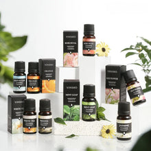 Load image into Gallery viewer, 17 Flavors 10ml Essential Oils For Aroma Diffuser AirHumidifier Home Water-soluble Lavender Rose Eucalyptus  White Peach Oolong
