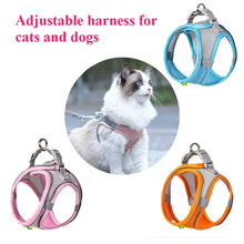 Load image into Gallery viewer, Cat Dog Toys for Aggressive Chewers Cats Dogs,Chew Squeak Toy Cats Dogs Interactive Plush Doll Pet Products
