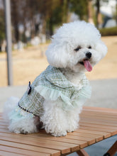 Load image into Gallery viewer, Dog clothes Princess Dress &amp; Jacket For Pets, Suitable For Poodle, Maltese, Yorkshire Terrier In Spring And Autumn
