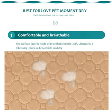 Load image into Gallery viewer, Reusable Washable Pee Training Pad
