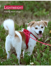 Load image into Gallery viewer, Reflective Outdoor Walking Harness Set

