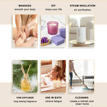 Load image into Gallery viewer, EUQEE Natural Plant Essential Oil 10ml
