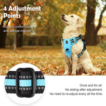Load image into Gallery viewer, Easy Control Handle No-Pull Vest
