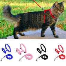 Load image into Gallery viewer, Adjustable Pet Cat Collar For Cats Cozy Nylon Rabbit Kitten Kedi Harness Leash Set Dog Cat Accessories Products For Pets
