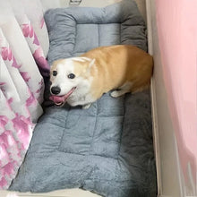 Load image into Gallery viewer, Thickened Super Soft Plush Sofa Bed
