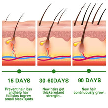 Load image into Gallery viewer, Rosemary Scalp Nourishing Hair Oil
