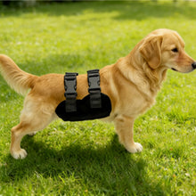 Load image into Gallery viewer, Pet Physiological Pants Outdoor Anti Harassment Safety Pants Comfortable Breathable Teddy Golden Retriever Male Dog Universal
