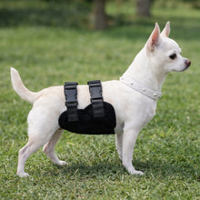 Load image into Gallery viewer, Pet Physiological Pants Outdoor Anti Harassment Safety Pants Comfortable Breathable Teddy Golden Retriever Male Dog Universal
