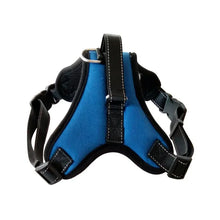 Load image into Gallery viewer, Quick Release Breathable Puppy Harness
