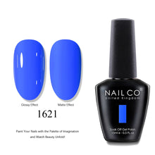 Load image into Gallery viewer, NAILCO 2025 Hot 15ML Gel Nail Polish Nails Semi-permanent UV Varnish High Quality Glass Bottle Nail Art Polish For Manicure
