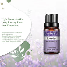 Load image into Gallery viewer, Lavender Pure Aromatherapy Essential Oil
