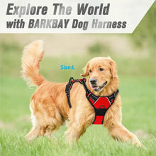Load image into Gallery viewer, Complete Dog Collar Harness Set

