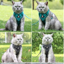 Load image into Gallery viewer, Harness and Leash Set Pet Accessories Dog Harness For Small Dog French Bulldog Pug Pitbull Puppy Pectoral Collar Chiens Supplies
