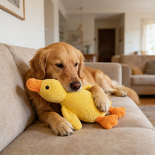 Load image into Gallery viewer, Dog Toys Durable For Biting And Teething Make Sounds To Relieve Boredom Plush Sleeping Small Medium-Sized Pet
