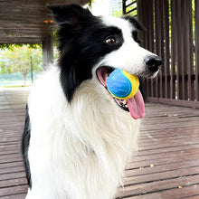 Load image into Gallery viewer, Dogs  Interactive Toys Soft TPR Toys for Dog Pet Teeth Cleaning Bite Resistance Squeaky Dog Ball Toy
