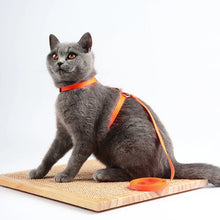 Load image into Gallery viewer, Adjustable Pet Cat Collar For Cats Cozy Nylon Rabbit Kitten Kedi Harness Leash Set Dog Cat Accessories Products For Pets
