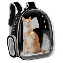 Load image into Gallery viewer, Pet Cat Carrying Bag Space Pet Backpacks Breathable Portable Transparent Backpack Puppy Dog Transport Carrier Space Capsule Bags
