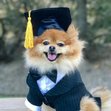 Load image into Gallery viewer, Graduation Hat Pet Accessory Adjustable Pet Graduation Cap For Puppy Kitten Pet Birthday Dress Up Props
