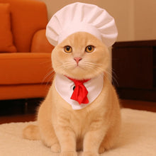 Load image into Gallery viewer, Pet Accessories Cute Pet Cooking King Hat Adjustable Comfortable Chef Hat Set Stylish Cat Cosplay Hat Pet Fashion Show
