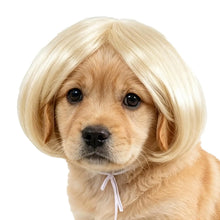 Load image into Gallery viewer, Pet Wig Accessories Dog Headdress Funny Costume Puppy Cosplay Dress Up Cute Pet Wig Cosplay Funny Props Head Accessories
