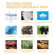 Load image into Gallery viewer, Black Ganoderma Hair Repair Serum
