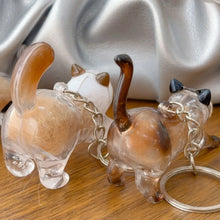 Load image into Gallery viewer, New Cat Hair Storage Keychain Bag Pendant Transparent Pet Fur Keepsake Capsule Souvenir Collection Gift Decoration Accessories
