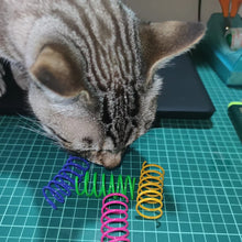 Load image into Gallery viewer, Kitten Cat Toys Wide Durable Heavy Gauge Cat Spring Toy Colorful Springs Cat Pet Toy Coil Spiral Springs 4/8/16/20pcs
