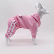 Load image into Gallery viewer, Comfortable Spring Dog Sports Suit
