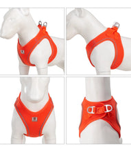 Load image into Gallery viewer, Reflective Outdoor Walking Harness Set
