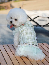 Load image into Gallery viewer, Dog clothes Princess Dress &amp; Jacket For Pets, Suitable For Poodle, Maltese, Yorkshire Terrier In Spring And Autumn
