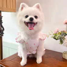 Load image into Gallery viewer, Sweet Cotton Pet Skirt Dress
