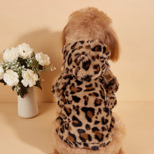 Load image into Gallery viewer, Plush Leopard Ear Dog Hoodie
