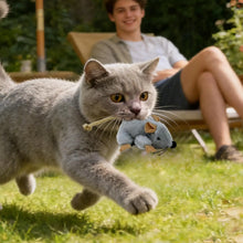Load image into Gallery viewer, Plush Cat Toy Mouse Realistic Moving Tail with Sound Interactive Kitten Toys for Indoor Cats Hunting Game Play Pet Supplies
