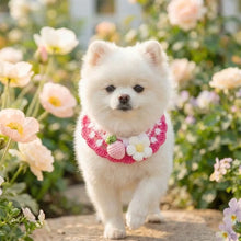Load image into Gallery viewer, Pet Accessories Adjustable Flower Pet Scarf Bib Sweet Handmade Cat Strawberry Collar Decorative Cozy Cat Woven Bib Photo Shoots
